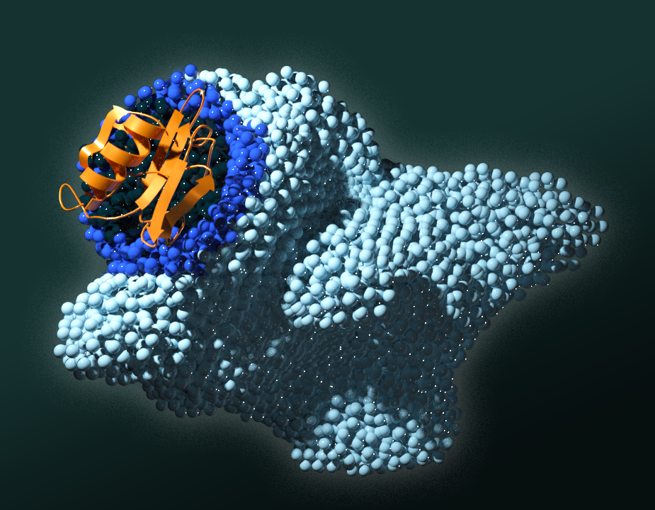 ORNL scientists identified four amino acids key to signaling pathways in the PAN protein domain. Mutating any of those four resulted in disruption of the signal that tells cancer cells to multiply and spread in humans. Credit: Andy Sproles/ORNL, U.S. Dept. of Energy